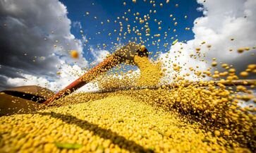 Passo Fundo se consolida entre os maiores exportadores em 2025