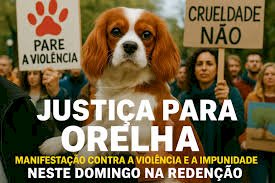 Neste domingo, Porto Alegre se une por justiça para Orelha
