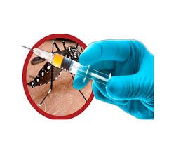 Vacinação contra a dengue de crianças e adolescentes entre dez e 14 anos é estendida a todos os municípios do Rio Grande do Sul