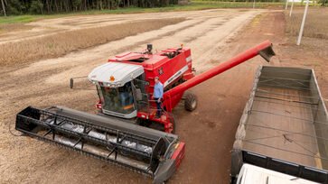 Ipiranga do Sul realiza Abertura Oficial da Colheita da Soja e destaca a força do agronegócio