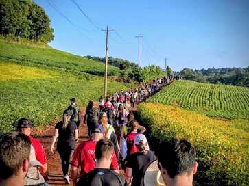 Caminhada da Uva destaca turismo rural em Paulo Bento