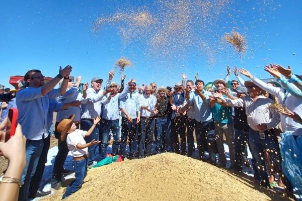 Tupanciretã sedia abertura oficial da colheita da soja no RS