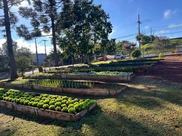 Solidariedade que Floresce: Presídio Estadual de Getúlio Vargas doa hortaliças à APAE