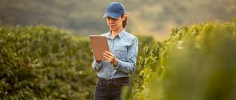 Sicredi aumenta em 15,7% volume liberado   para o agro nos primeiros oito meses da Safra 25/26