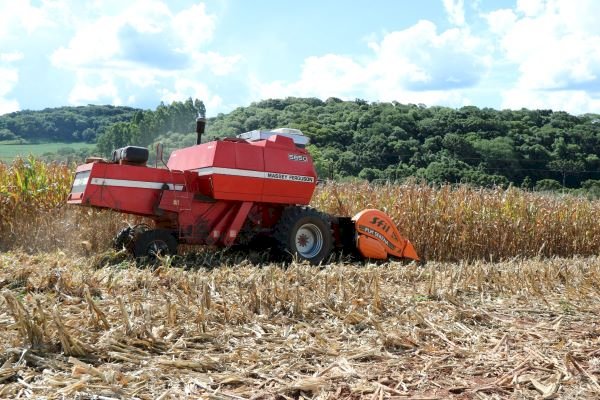 Colheita do milho se encaminha para o final no RS