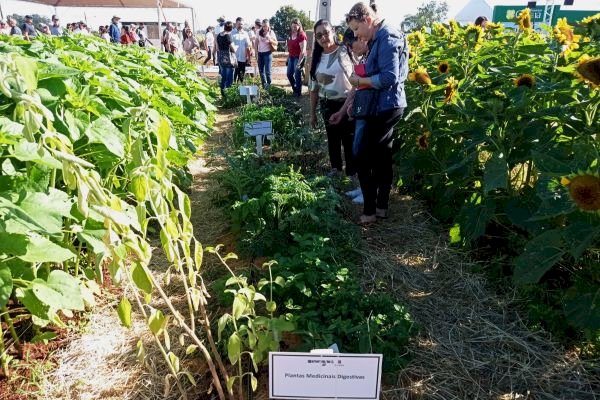 Emater/RS-Ascar apresenta cultivo e uso de plantas medicinais, aromáticas e condimentares na Exporural