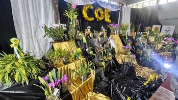 Exposição de Orquídeas celebra o Dia do Orquidófilo em Erechim