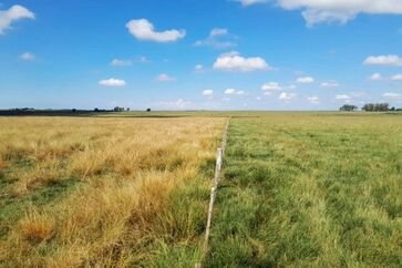 Emater/RS-Ascar contribui para debate nacional sobre Aters voltada à restauração ecológica