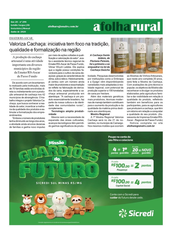 Valoriza Cachaça: iniciativa tem foco na tradição, qualidade e formalização na região