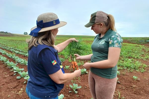 Plano Safra da Agricultura Familiar amplia crédito e Emater/RS-Ascar orienta produtores para acessar recursos