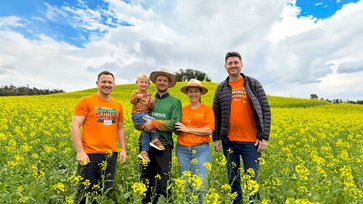 Plano Safra: Canola amplia alternativas de produção no inverno