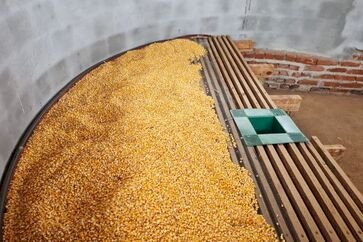 Cuidados na pós-colheita ajudam a preservar a qualidade dos grãos