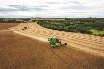 Sicredi amplia liderança em crédito rural no Rio Grande do Sul