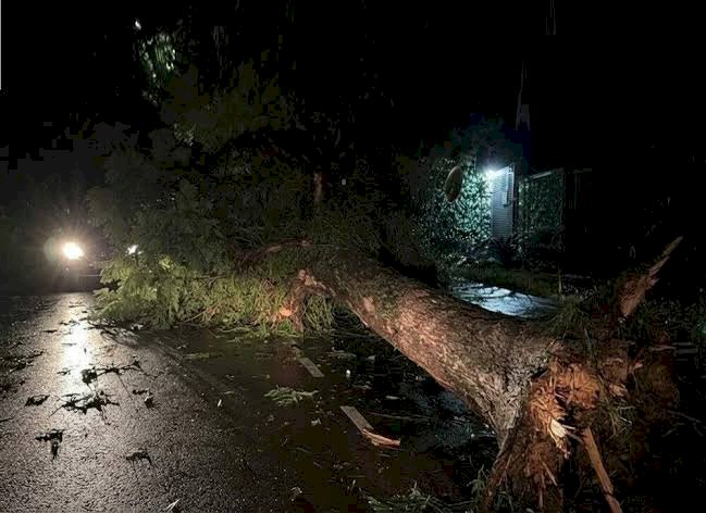 Temporais deixam quase 940 mil pontos sem energia elétrica no Rio Grande do Sul