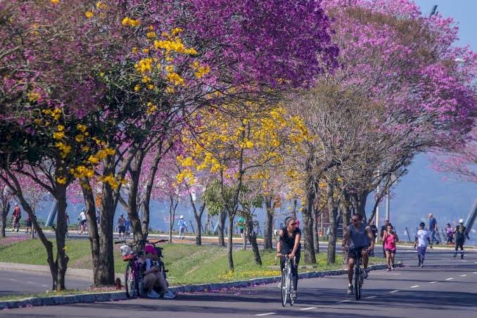 Primavera começa nesta terça, com previsão de mais chuva e temporais no Rio Grande do Sul