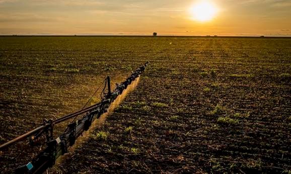 Seguro rural: novas regras ampliam cobertura e proteção ao produtor