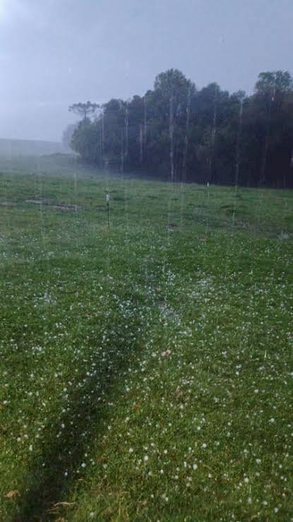 Temporais voltam a atingir parte do Rio Grande do Sul neste sábado