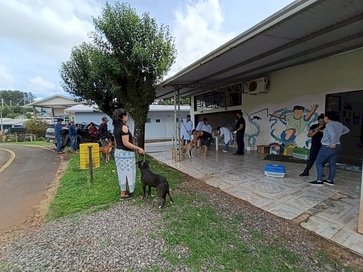 Medicina Veterinária da URI auxilia na imunização de animais em campanha de vacinação 