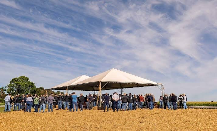 Dia de Campo de Inverno da Cotrijal destaca manejo, culturas e sistemas de produção