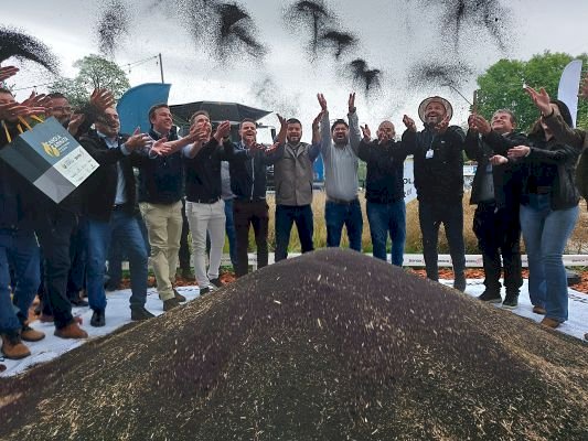 Abertura da colheita da canola e da carinata acontece na Expofest em Ijuí