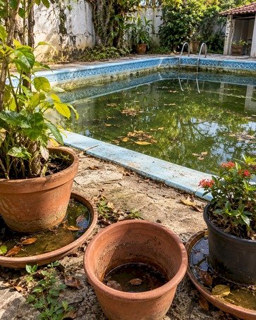 Saúde alerta para prevenção à dengue durante todo o ano em Ipiranga do Sul