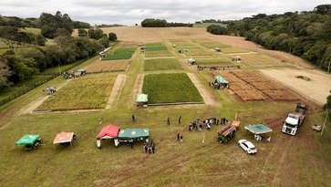 Dia de Campo reúne 400 participantes e destaca inovação e pesquisa agrícola na IDEAU